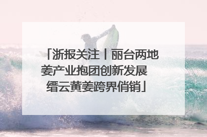 浙报关注丨丽台两地姜产业抱团创新发展 缙云黄姜跨界俏销