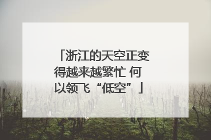 浙江的天空正变得越来越繁忙 何以领飞“低空”