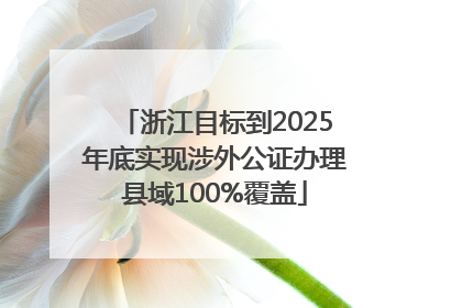 浙江目标到2025年底实现涉外公证办理县域100%覆盖