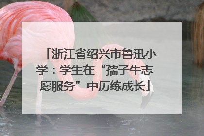 浙江省绍兴市鲁迅小学：学生在“孺子牛志愿服务”中历练成长