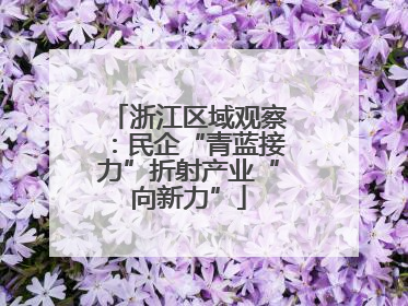 浙江区域观察：民企“青蓝接力”折射产业“向新力”