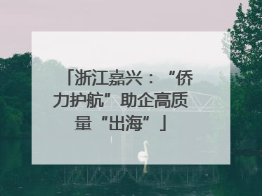浙江嘉兴：“侨力护航”助企高质量“出海”