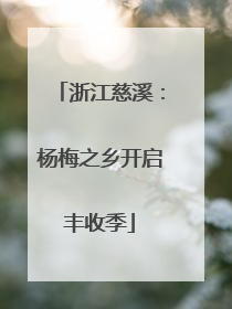 浙江慈溪：杨梅之乡开启丰收季