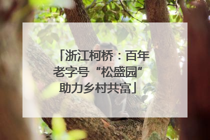 浙江柯桥：百年老字号“松盛园”助力乡村共富