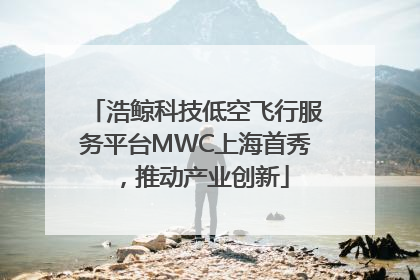 浩鲸科技低空飞行服务平台MWC上海首秀，推动产业创新