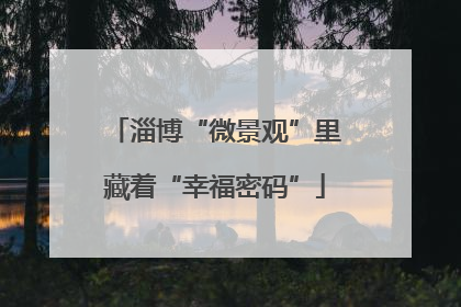 淄博“微景观”里藏着“幸福密码”