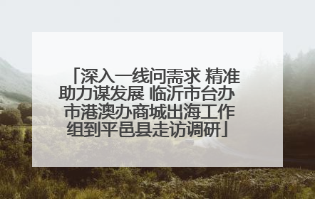 深入一线问需求 精准助力谋发展 临沂市台办 市港澳办商城出海工作组到平邑县走访调研