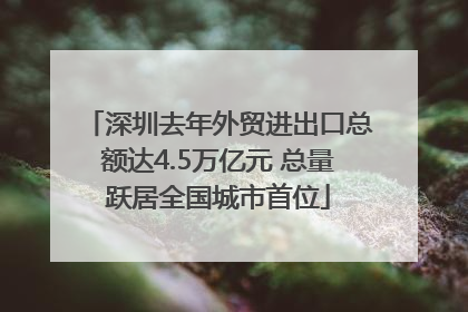 深圳去年外贸进出口总额达4.5万亿元 总量跃居全国城市首位