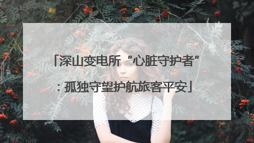 深山变电所“心脏守护者”：孤独守望护航旅客平安