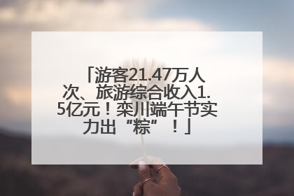 游客21.47万人次、旅游综合收入1.5亿元！栾川端午节实力出“粽”！