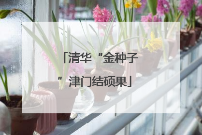 清华“金种子”津门结硕果