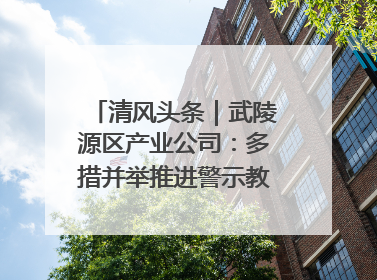 清风头条｜武陵源区产业公司：多措并举推进警示教育走深走实