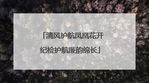清风护航凤凰花开 纪检护航廉韵绵长