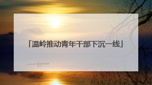 温岭推动青年干部下沉一线
