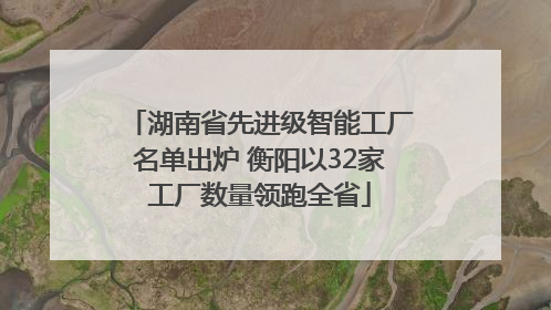 湖南省先进级智能工厂名单出炉 衡阳以32家工厂数量领跑全省