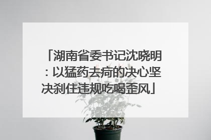 湖南省委书记沈晓明：以猛药去疴的决心坚决刹住违规吃喝歪风