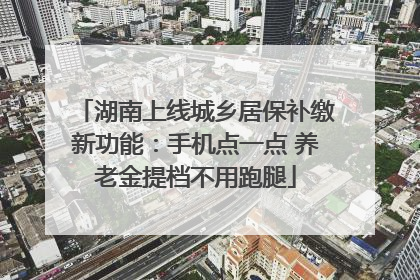 湖南上线城乡居保补缴新功能：手机点一点 养老金提档不用跑腿