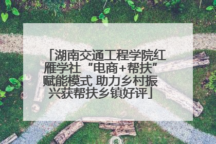 湖南交通工程学院红雁学社“电商+帮扶”赋能模式 助力乡村振兴获帮扶乡镇好评