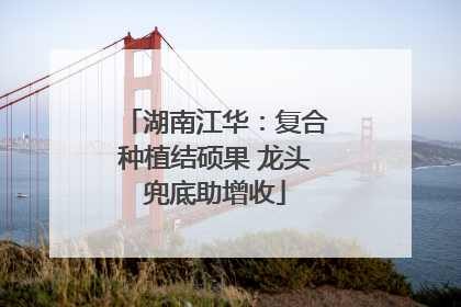 湖南江华：复合种植结硕果 龙头兜底助增收