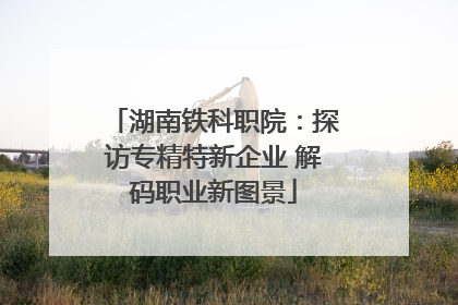湖南铁科职院：探访专精特新企业 解码职业新图景