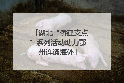 湖北“侨建支点”系列活动助力鄂州连通海外