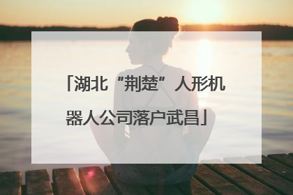 湖北“荆楚”人形机器人公司落户武昌