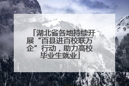 湖北省各地持续开展“百县进百校联万企”行动，助力高校毕业生就业