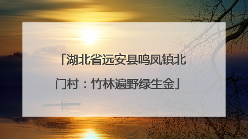 湖北省远安县鸣凤镇北门村：竹林遍野绿生金