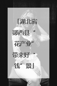 湖北省郧西县“花产业”带来好“钱”景