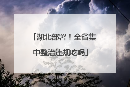 湖北部署！全省集中整治违规吃喝