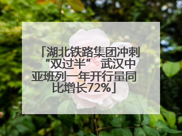 湖北铁路集团冲刺“双过半” 武汉中亚班列一年开行量同比增长72%