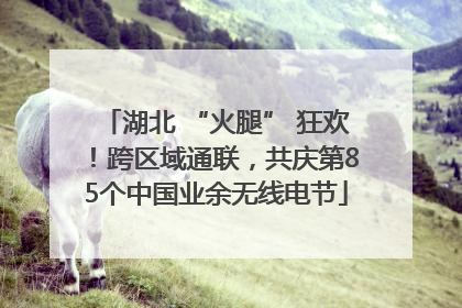 湖北 “火腿” 狂欢！跨区域通联，共庆第85个中国业余无线电节