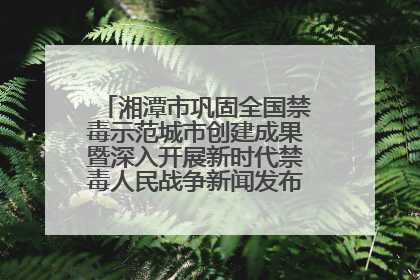 湘潭市巩固全国禁毒示范城市创建成果暨深入开展新时代禁毒人民战争新闻发布会答记者问摘录