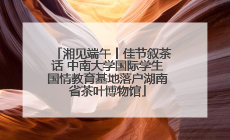 湘见端午丨佳节叙茶话 中南大学国际学生国情教育基地落户湖南省茶叶博物馆