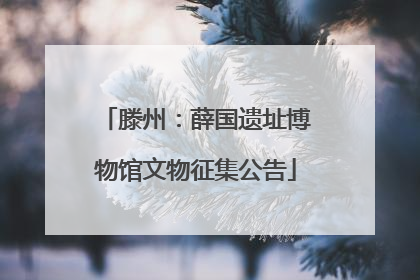 滕州：薛国遗址博物馆文物征集公告