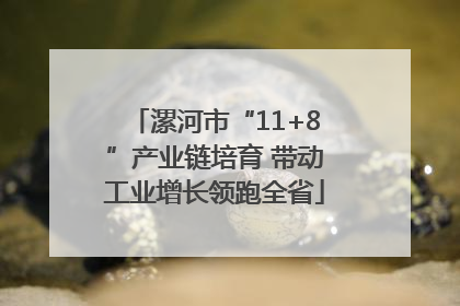 漯河市“11+8”产业链培育 带动工业增长领跑全省