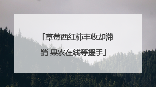 草莓西红柿丰收却滞销 果农在线等援手