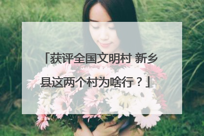 获评全国文明村 新乡县这两个村为啥行？