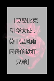 莫桑比克驻华大使：莫中是风雨同舟的铁杆兄弟