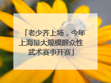老少齐上场，今年上海最大规模群众性武术赛事开赛