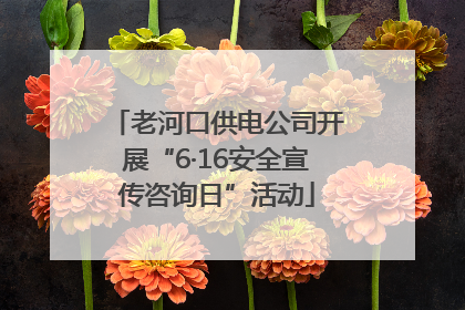 老河口供电公司开展“6·16安全宣传咨询日”活动