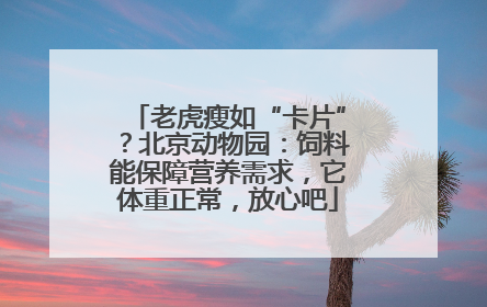 老虎瘦如“卡片”？北京动物园：饲料能保障营养需求，它体重正常，放心吧
