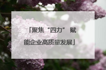 聚焦“四力” 赋能企业高质量发展