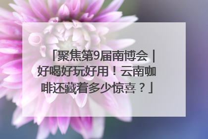 聚焦第9届南博会｜好喝好玩好用！云南咖啡还藏着多少惊喜？