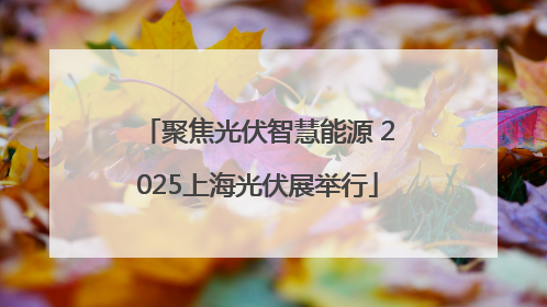 聚焦光伏智慧能源 2025上海光伏展举行
