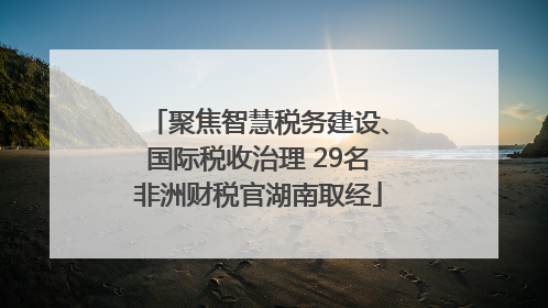 聚焦智慧税务建设、国际税收治理 29名非洲财税官湖南取经