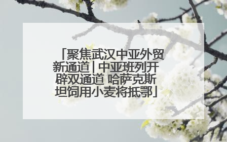 聚焦武汉中亚外贸新通道│中亚班列开辟双通道 哈萨克斯坦饲用小麦将抵鄂