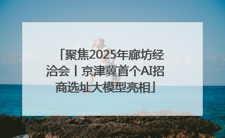聚焦2025年廊坊经洽会丨京津冀首个AI招商选址大模型亮相