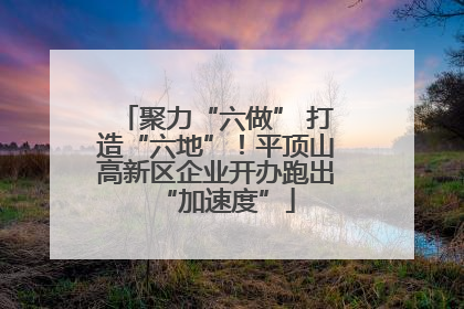 聚力“六做” 打造“六地”！平顶山高新区企业开办跑出“加速度”
