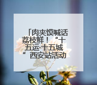 肉夹馍喊话荔枝鲜！“十五运·十五城”西安站活动圆满举行